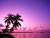 le paradis